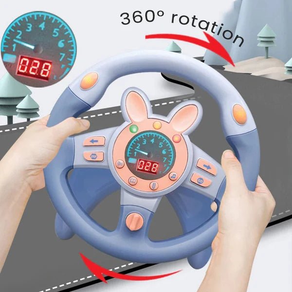 Simulation Steering - Apnamart